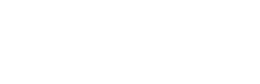 The Studio